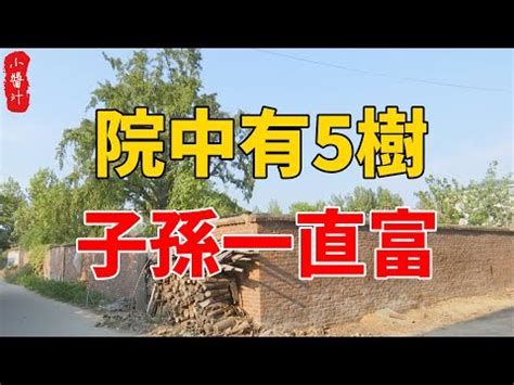 仙桃樹風水|風水學後院種樹也是很有講究的，不能亂種